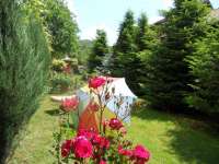 Il mio giardino-in campagna. Arges-Romania.